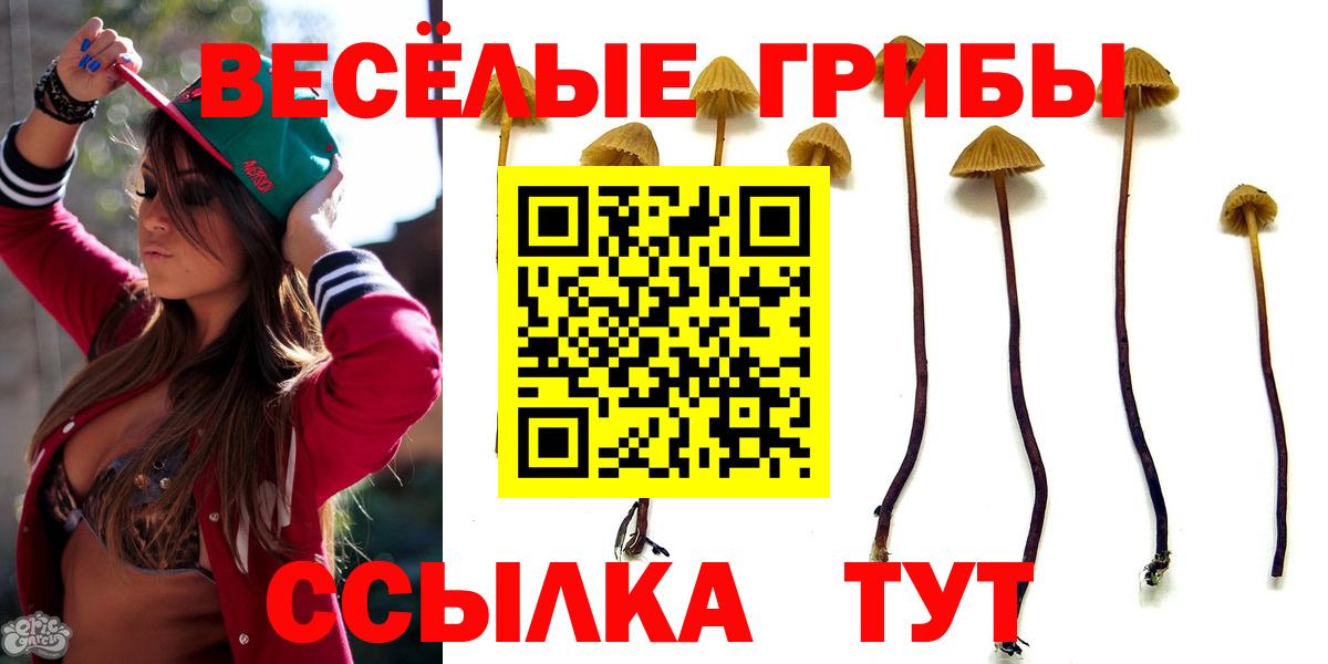 Галлюциногенные грибы GOLDEN TEACHER Соль-Илецк