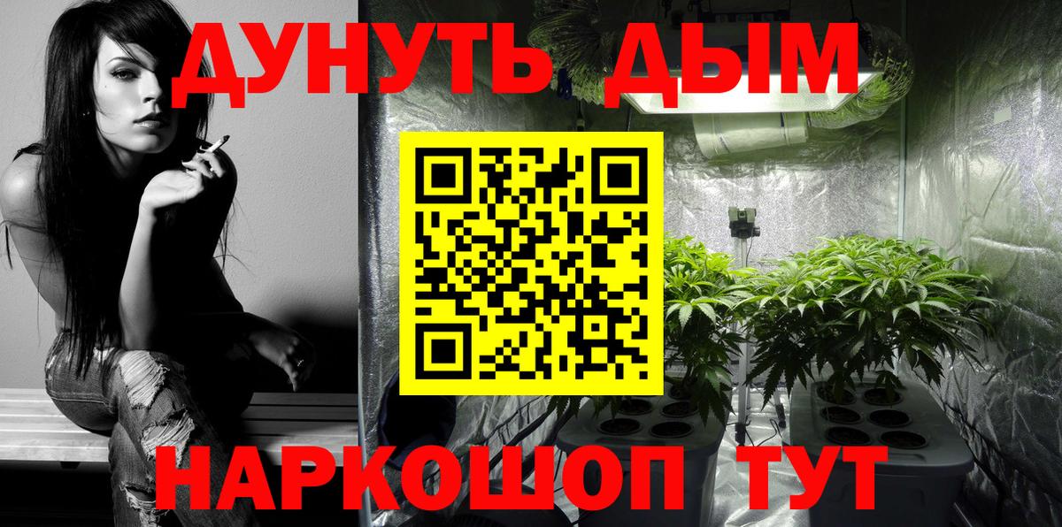 Шишки марихуана гибрид Соль-Илецк